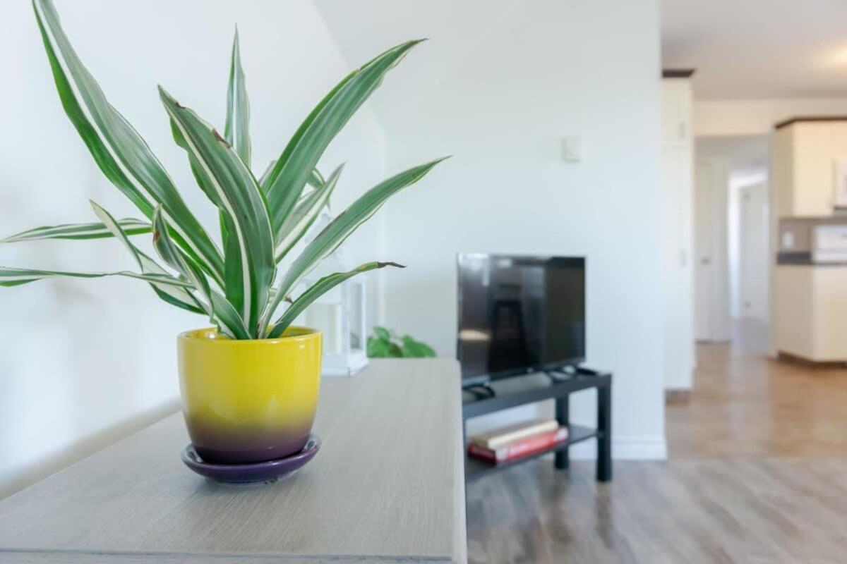 Amazing Location In Saint John 2 Bedroom Modern Parking New Eksteriør billede