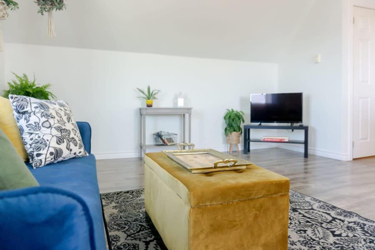 Amazing Location In Saint John 2 Bedroom Modern Parking New Eksteriør billede